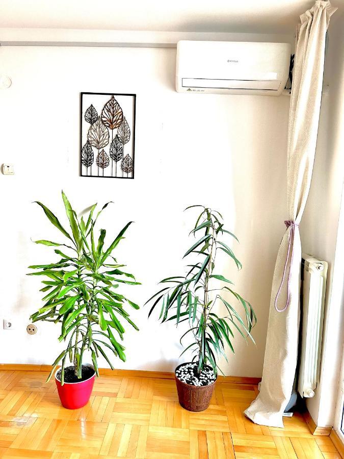 Vintage Bucharest Apartment Exterior photo